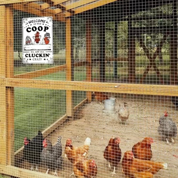 Funny Chicken Sign - Picture 7 of 7